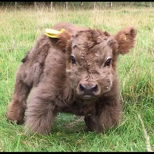 Meet your Posher, Mariah